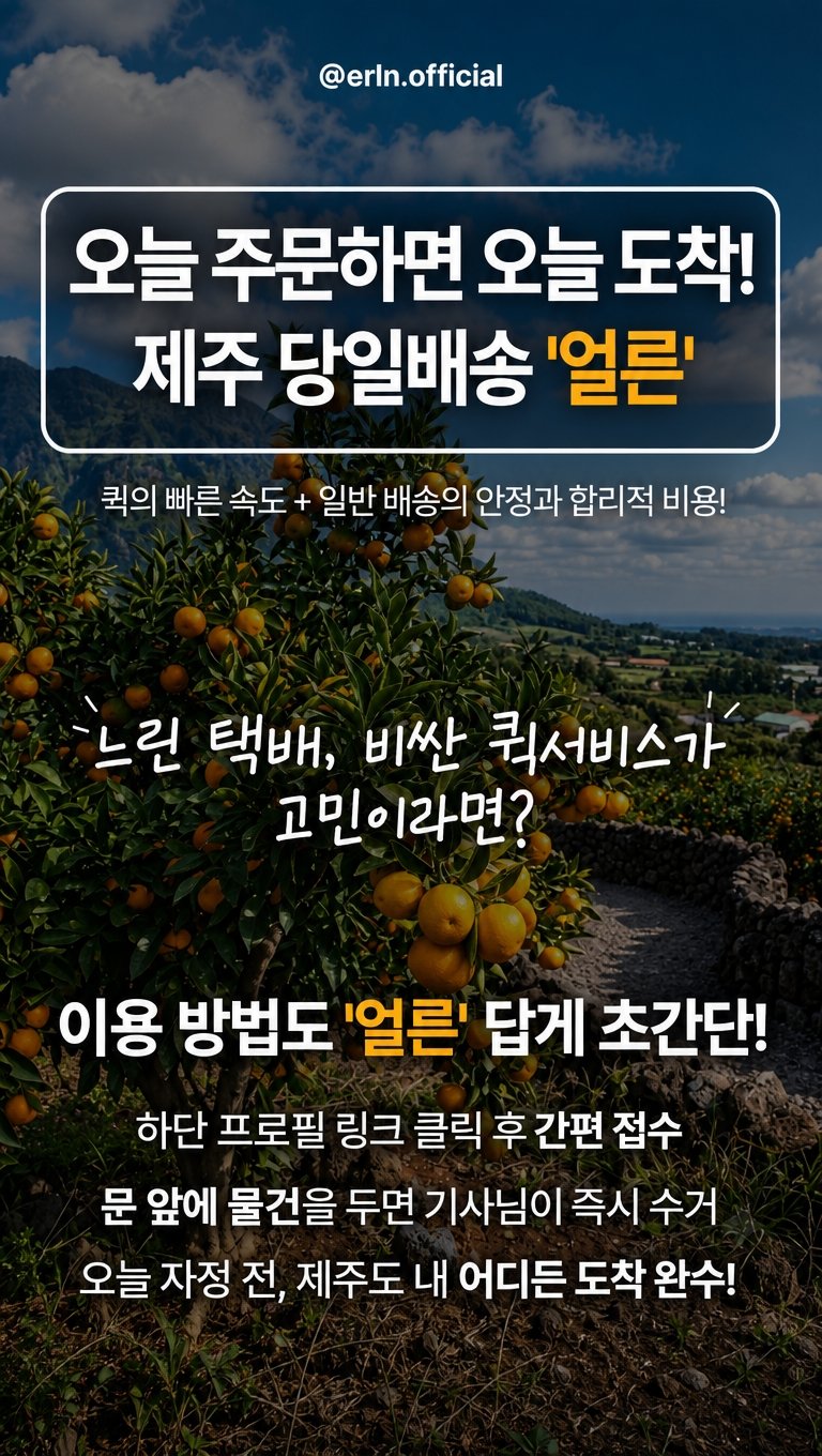 오늘 주문하면 오늘 도착, 제주 당일배송 얼른 — 이용 방법 3단계 안내