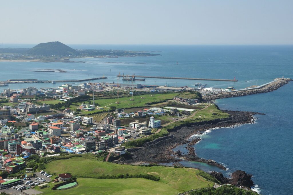 제주 로컬 브랜드 매장에 진열된 콜라보 굿즈