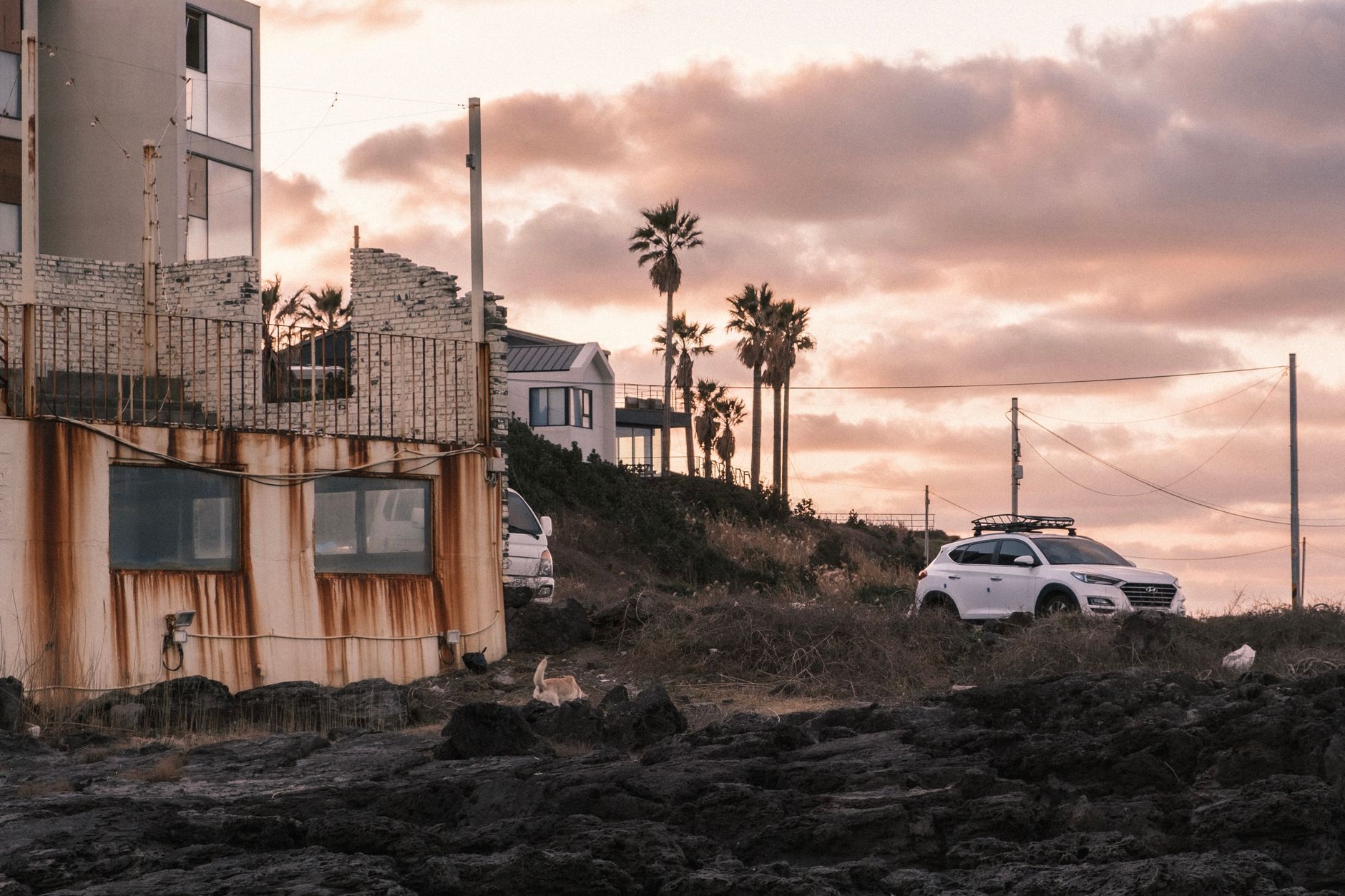 제주 해안 마을의 낮은 지붕 풍경