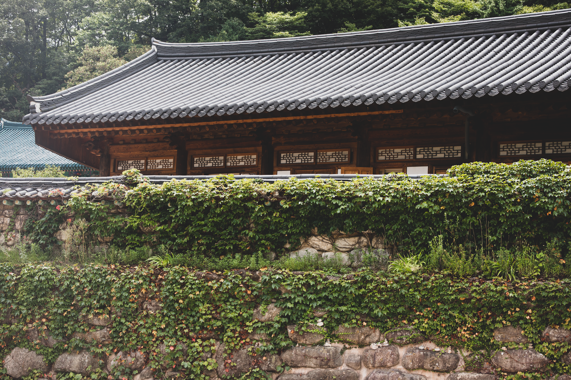 제주 전통 가옥을 개조한 숙소 마당